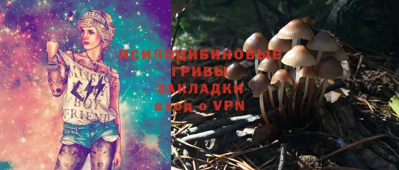 мега как войти  Инта  Галлюциногенные грибы MAGIC MUSHROOMS 